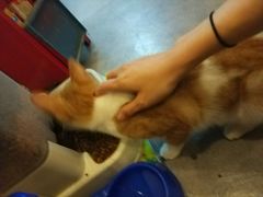 -汇佳桌游剧本咖啡馆(万体馆旗舰店)