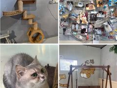 -豆逗聊愈猫阁Easy Life
