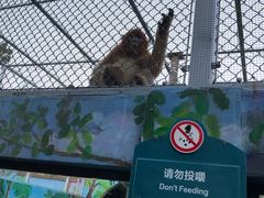 -西安秦岭野生动物园