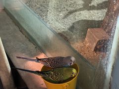 -秦皇岛新澳海底世界