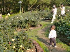 -人民公园(罗湖区)