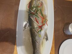 -江南原著(中联广场店)