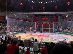 -西安秦岭野生动物园