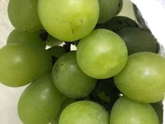 -马陆小张葡萄园农家乐