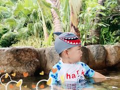 -厦门日月谷温泉渡假村