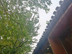 -春风习习