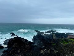 -涉地可支