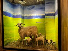 -清真·益鑫羊肉手抓馆(花园北街店)