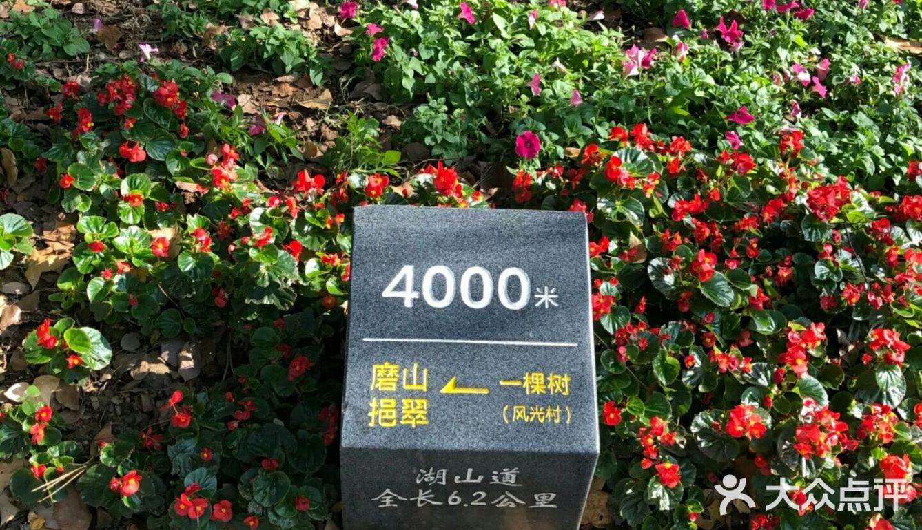 门票：免费 时间：全天 玩法：真的是非常的美