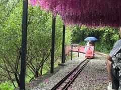 -广东天露山旅游度假区