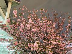 -上海游泳馆(地铁站)