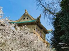 -武汉大学-樱园