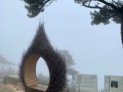 -沂蒙山旅游区云蒙景区(蒙山国家森林公园)