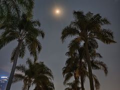 -南宁南湖公园