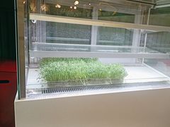 -三克火锅影院(来福士店)