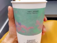-茶颜悦色(岳麓山顶店)