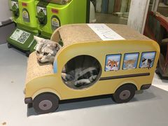 -小时光咖啡馆(开森度假森林店)