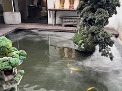 -觀芷隐轩