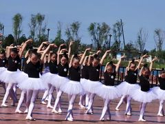 -西安小天鹅艺术团(金花路校区)