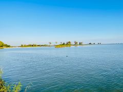 -合肥滨湖国家森林公园