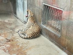 -西安秦岭野生动物园