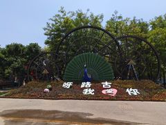 -呀路古热带植物园