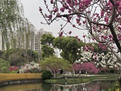 -圩墩遗址公园