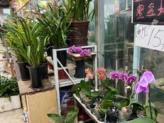 -无锡文化工艺品市场(槐古路店)
