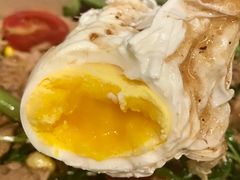 -SHUBO蔬小盒(三里屯店)