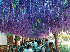 -栾川竹海野生动物园