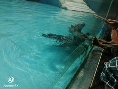 -新疆天山野生动物园