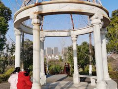 -九龙湖公园