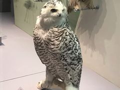 -呼和浩特博物馆