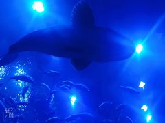 -成都浩海立方海洋公园