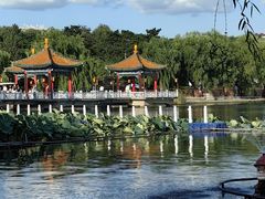 -长春市南湖公园