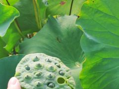 -陶辛水韵