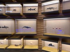 -上海中国航海博物馆