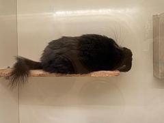 -龙猫仔乐园(惠福东路店)