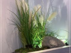 -蜜桃餐厅·伴山(绿宝广场店)