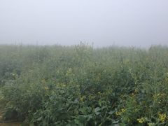 景点-广州市石门国家森林公园