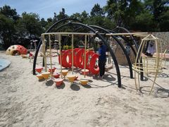 -铁山坪森林公园