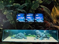 -海合安成都极地海洋公园