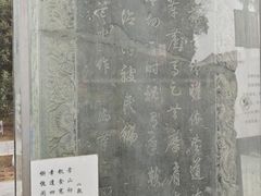 -赵州桥景区