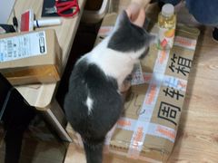 -白兔子密室(长寿路店)