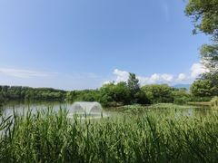-翠湖国家城市湿地公园