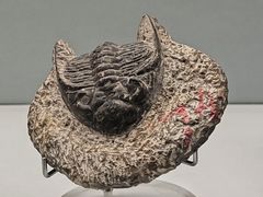 -云南省博物馆
