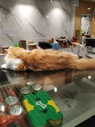 -小蜜蜂农场(凯德七宝购物广场店)