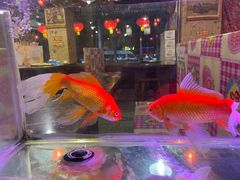 -粗粮人家·东北菜(洋桥店)