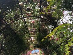 -The Grounds of Alexandria