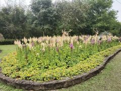 -广州莲花山旅游区